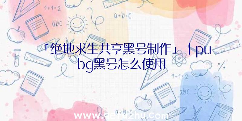 「绝地求生共享黑号制作」|pubg黑号怎么使用